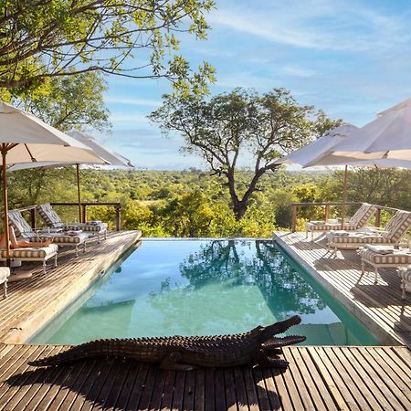 Simbavati Hilltop Lodge Timbavati Game Reserve Exterior foto