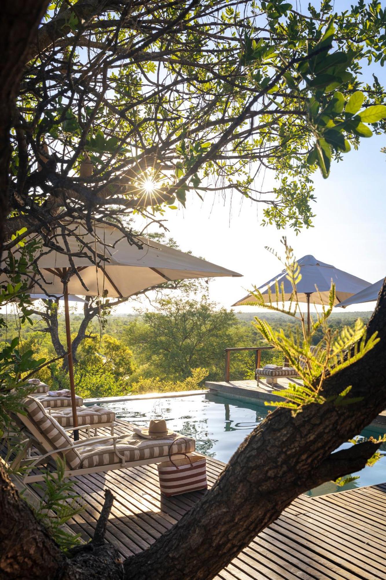 Simbavati Hilltop Lodge Timbavati Game Reserve Exterior foto