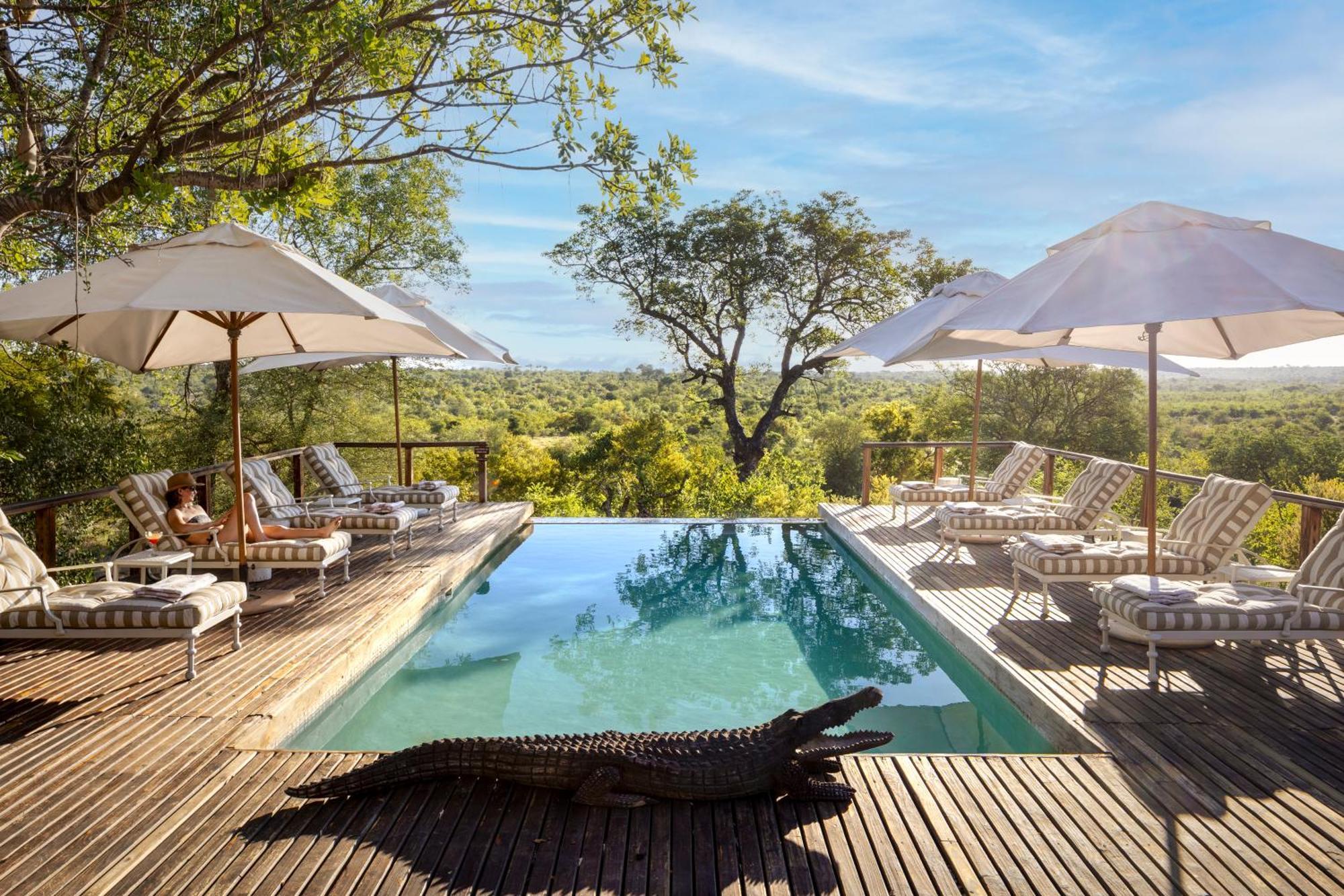 Simbavati Hilltop Lodge Timbavati Game Reserve Exterior foto