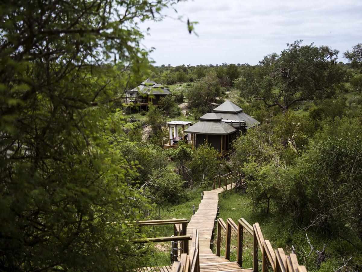 Simbavati Hilltop Lodge Timbavati Game Reserve Exterior foto
