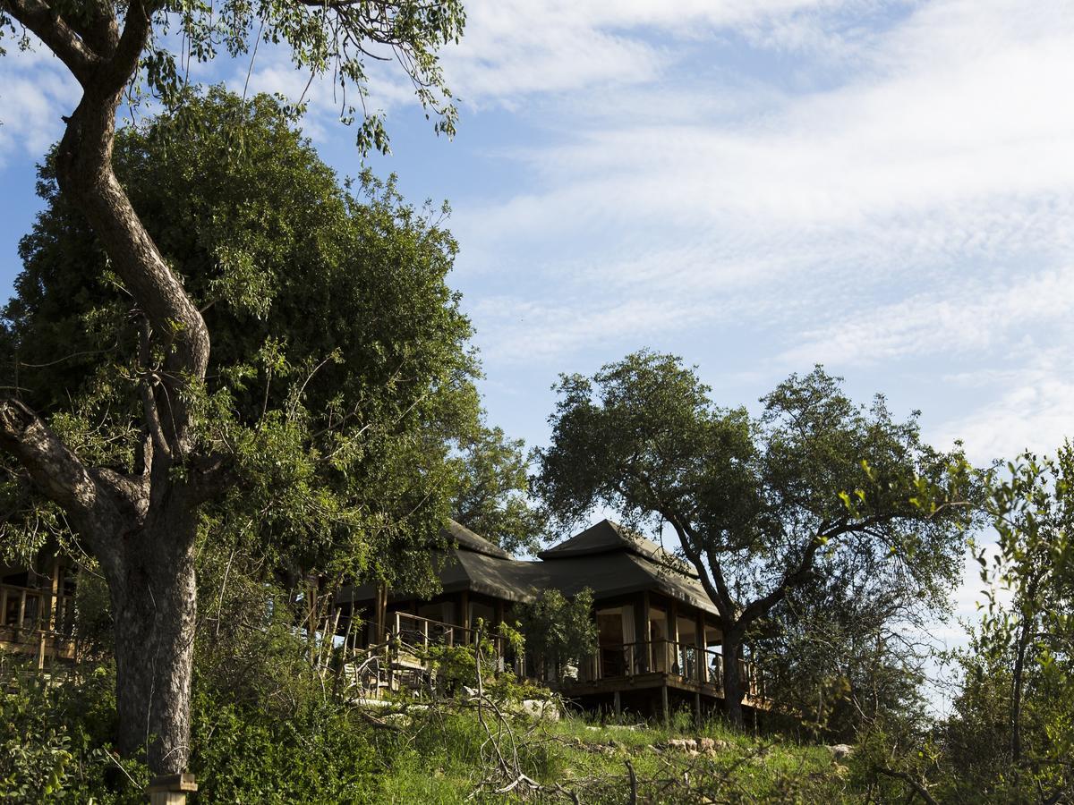 Simbavati Hilltop Lodge Timbavati Game Reserve Exterior foto