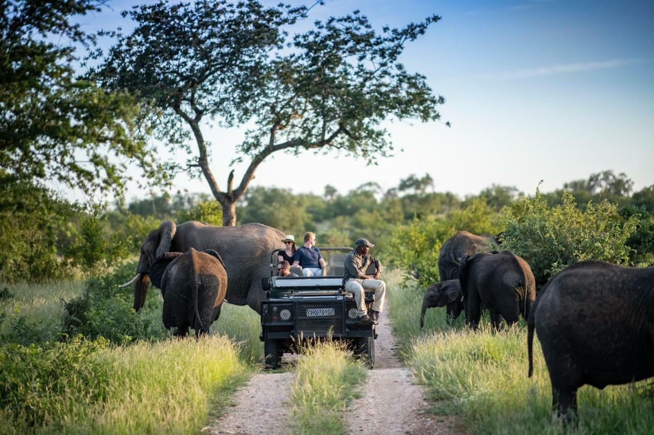 Simbavati Hilltop Lodge Timbavati Game Reserve Exterior foto
